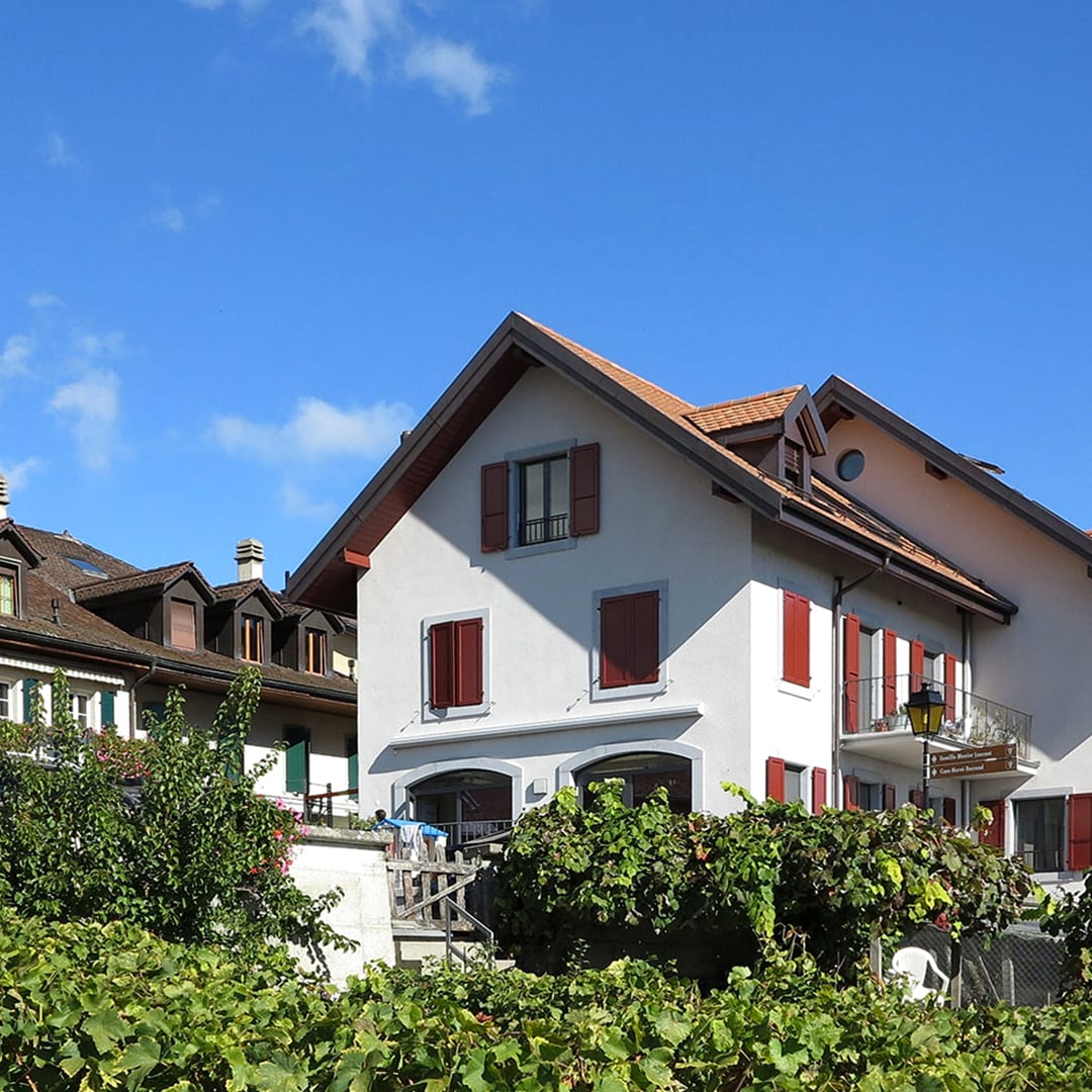 Les Caves Munier<br>vous font gagner<br><b>10 bouteilles de Maxi Bulles</b>