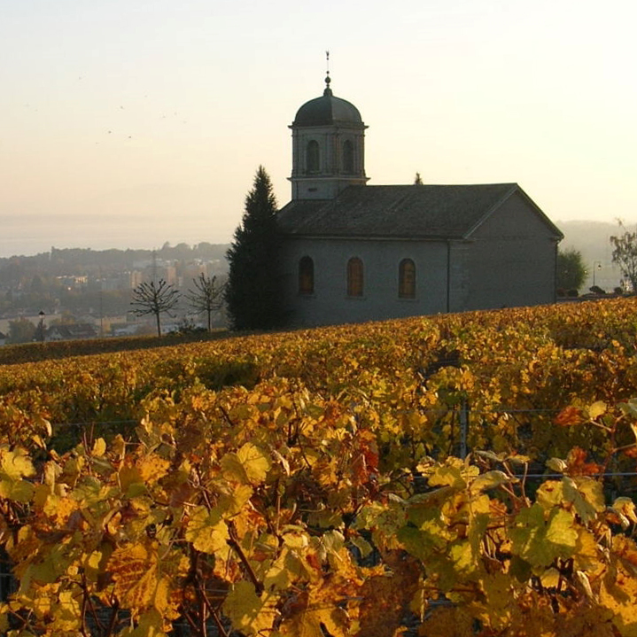 Les Dames de Hautecour<br>vous fait gagner<br><b>3 bouteilles de Brut millésimé 2022</b>