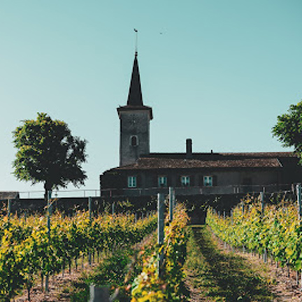 Domaine Rossier <br>vous fait gagner<br><b>12 bouteilles de Brut - Méthode Traditionnelle</b>