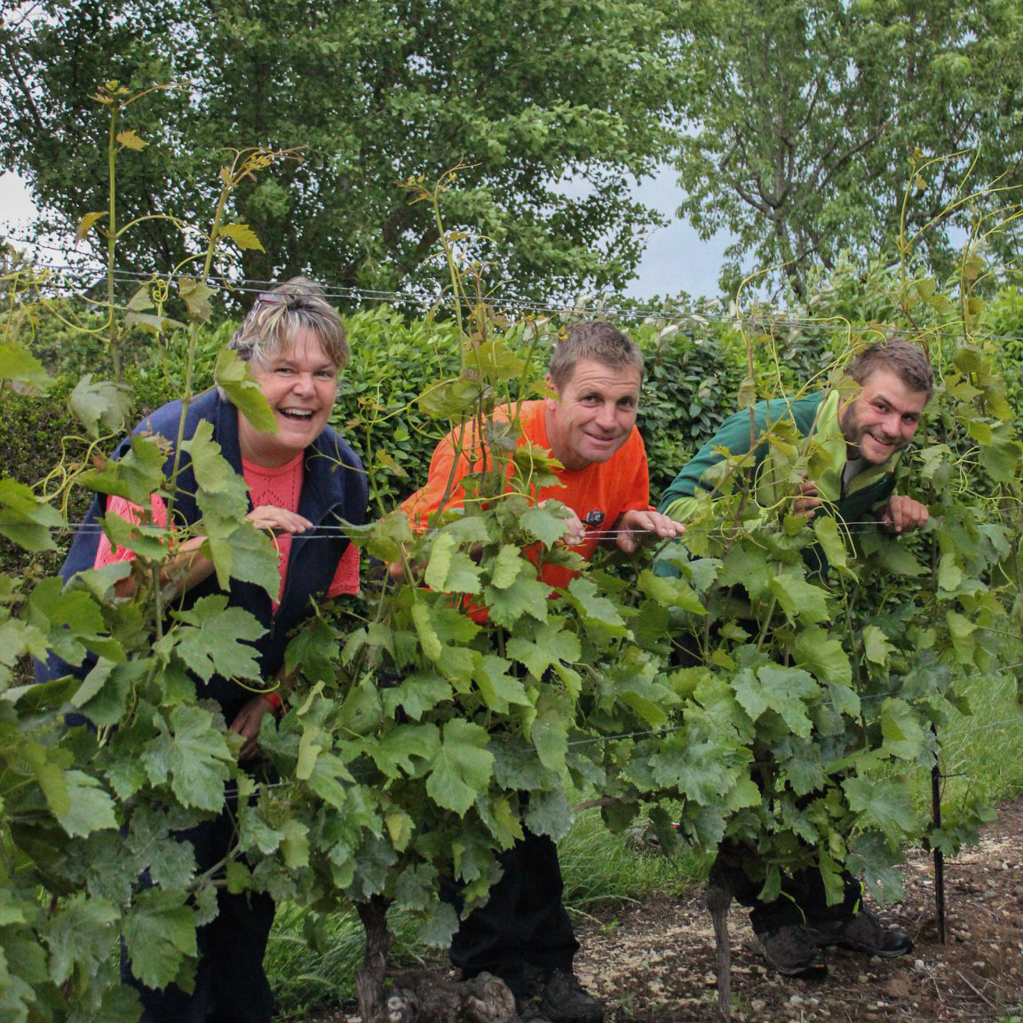 Le Domaine Chamvalon <br>vous fait gagner<br><b>6 bouteilles de Noctambulles</b>