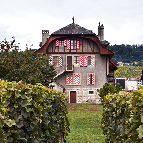 La Ville de Lausanne - Abbaye de Mont <br>vous fait gagner<br><b> 6 bouteilles de Méthode traditionnelle</b>